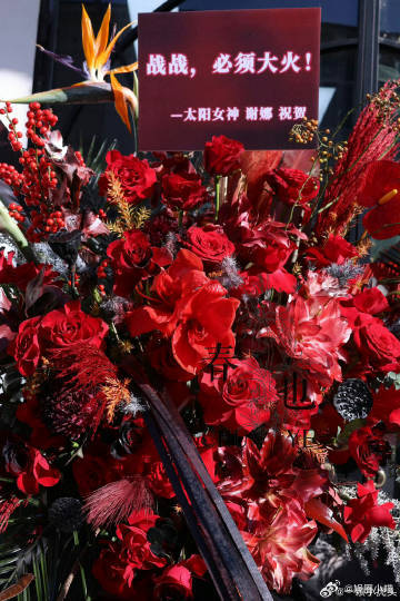 谢娜给肖战南京演唱会送的花篮谢娜送肖战演唱会的红色花篮一眼看中谢娜送来的这组红色