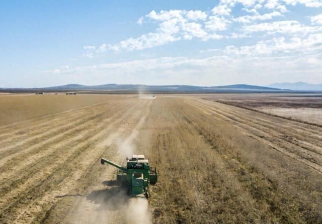 为啥不让俄罗斯供应大豆？中俄只隔一道江，中国却宁和美国撕个痛

这两年有个现象挺