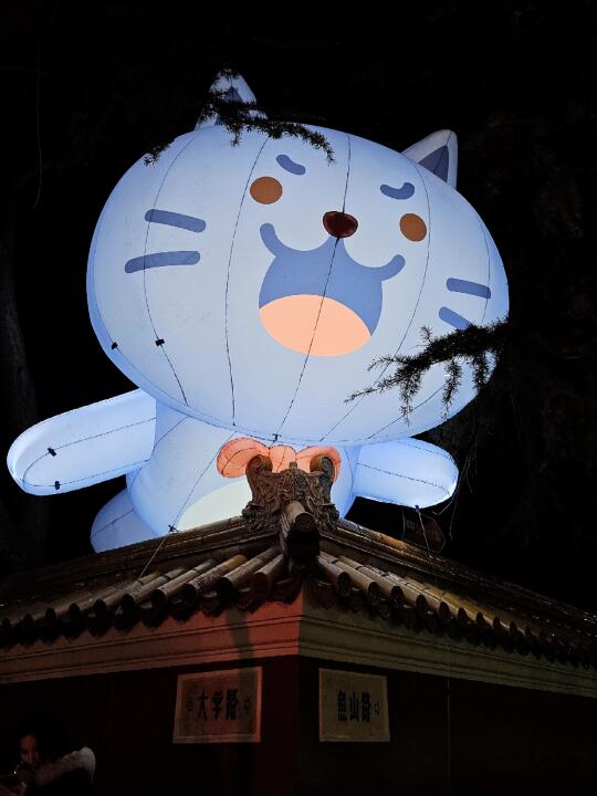 上海豫园的明星🐱喵扎特来青岛啦！~