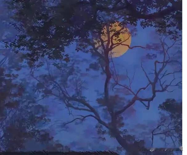 想你的夜
烟花璀璨成星

一颗一颗绽放在
寂寥的空


想你的日子
春芽任光涂鸦