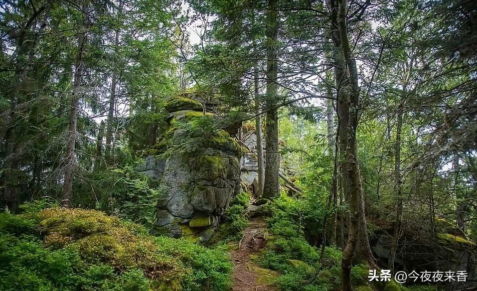 你高高兴兴退了一次货，感觉自己占了天大的便宜。但你不知道的是，你这边确认退货的按