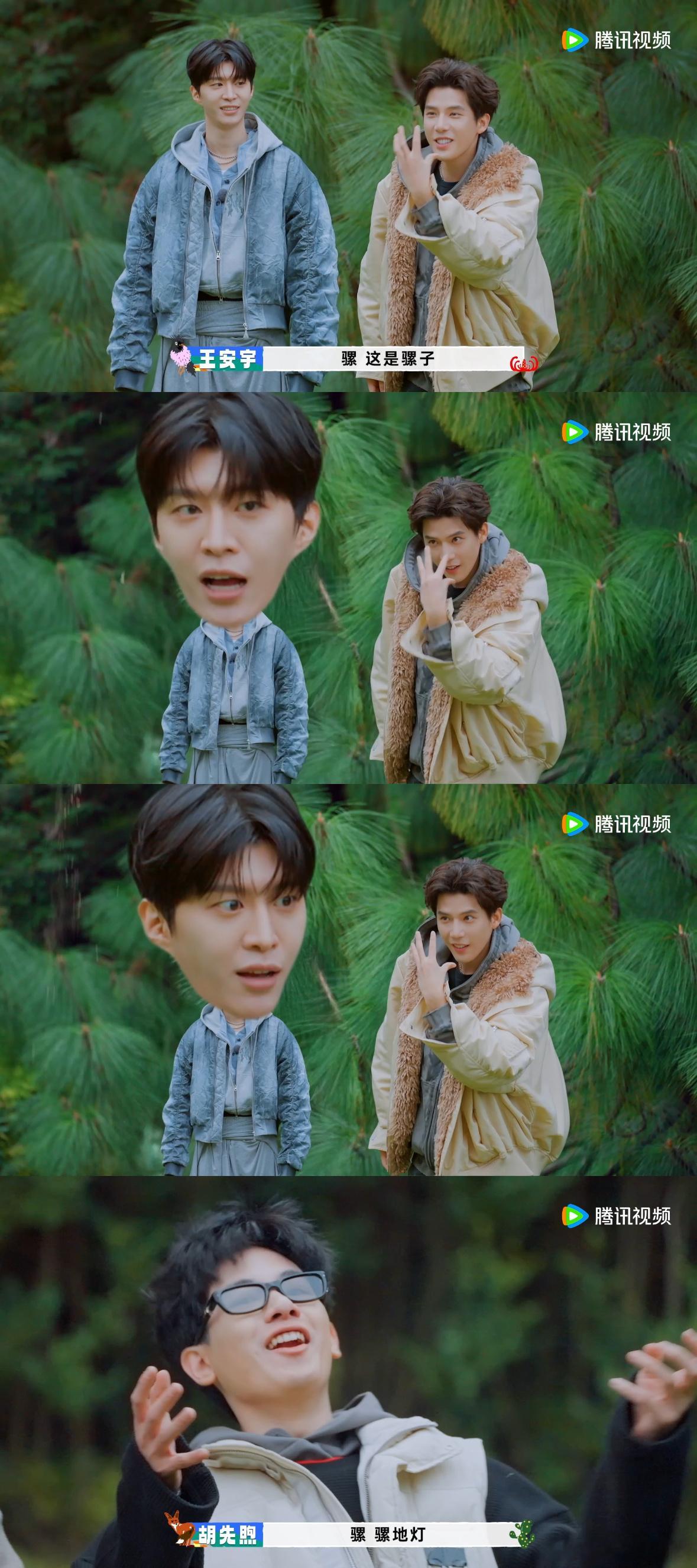 王安宇的表演太好笑了！从驴拉磨到落地灯，这个“脸拉长”的动作竟然无缝衔接，真是让