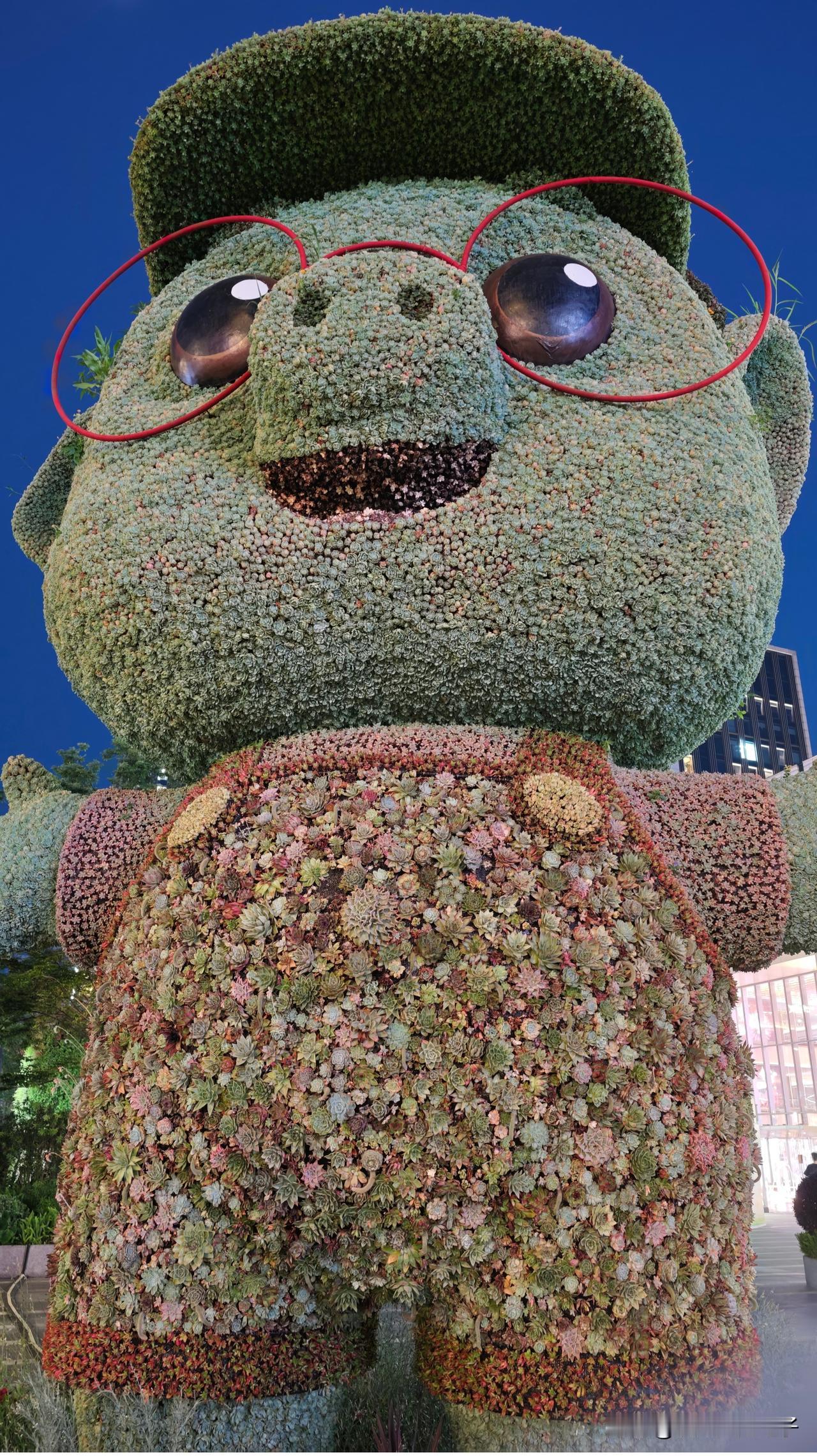 在杭州种多肉可是有不少门道。杭州气候湿润，夏季高温多雨，冬季相对温和。种多肉得选