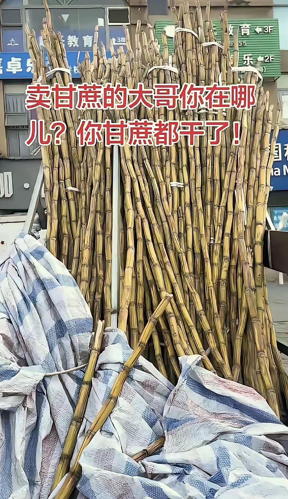  
 
暖心！四川男子发现楼下甘蔗摊枯成“木头”，一个善举引爆全网，结局看哭众人
