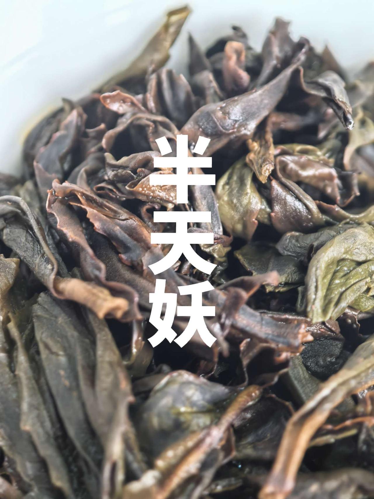 冬天喝岩茶是真的舒服
图为【岩丛熹合·半天妖】
最近的阳光充足 边喝茶 边晒背