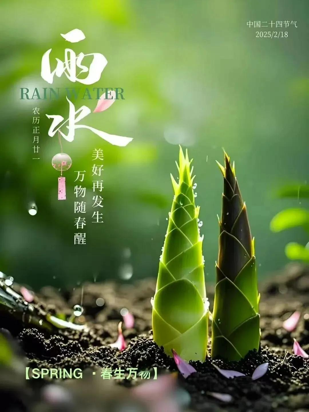 雨水

临河先生
 
细雨如丝织锦帷，时逢雨水唤春回。
轻濡沃野禾苗壮，微润芳林