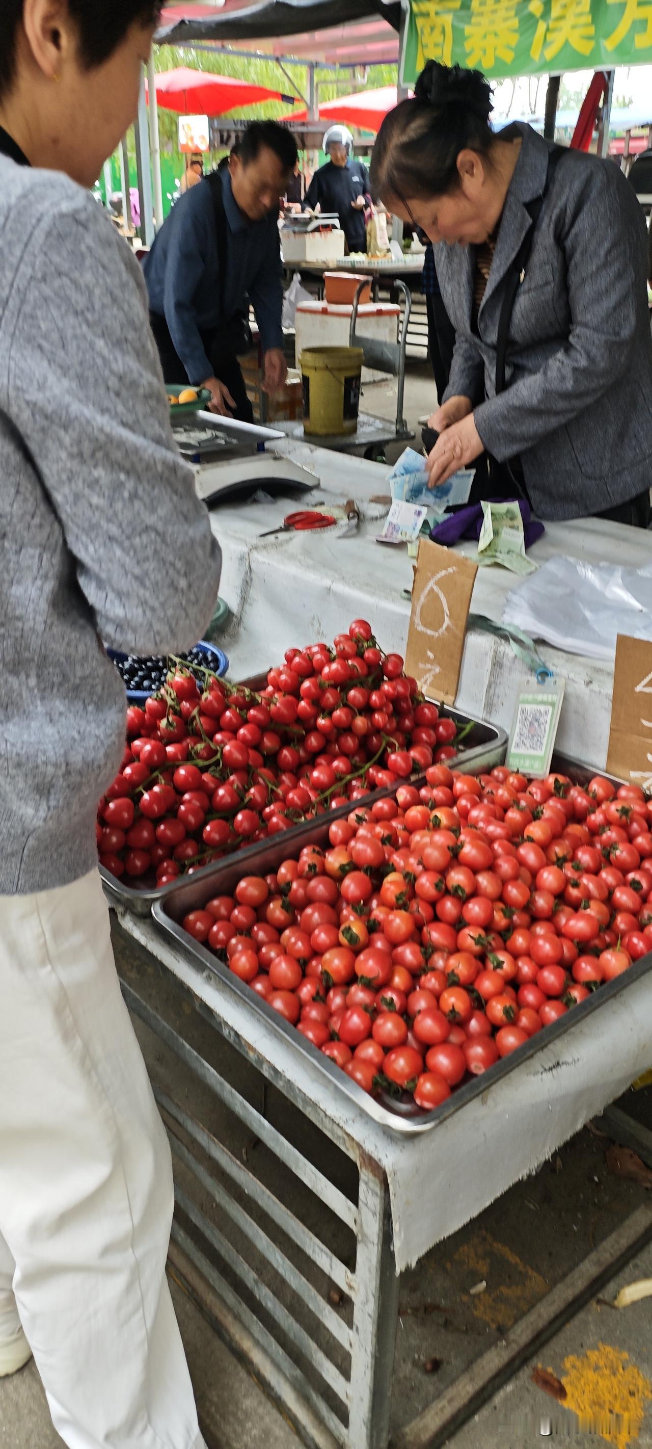 菜市场在城乡结合带，地上摆摊的多是附近农户，兜售的都是清晨去地里摘来的蔬果。棚子