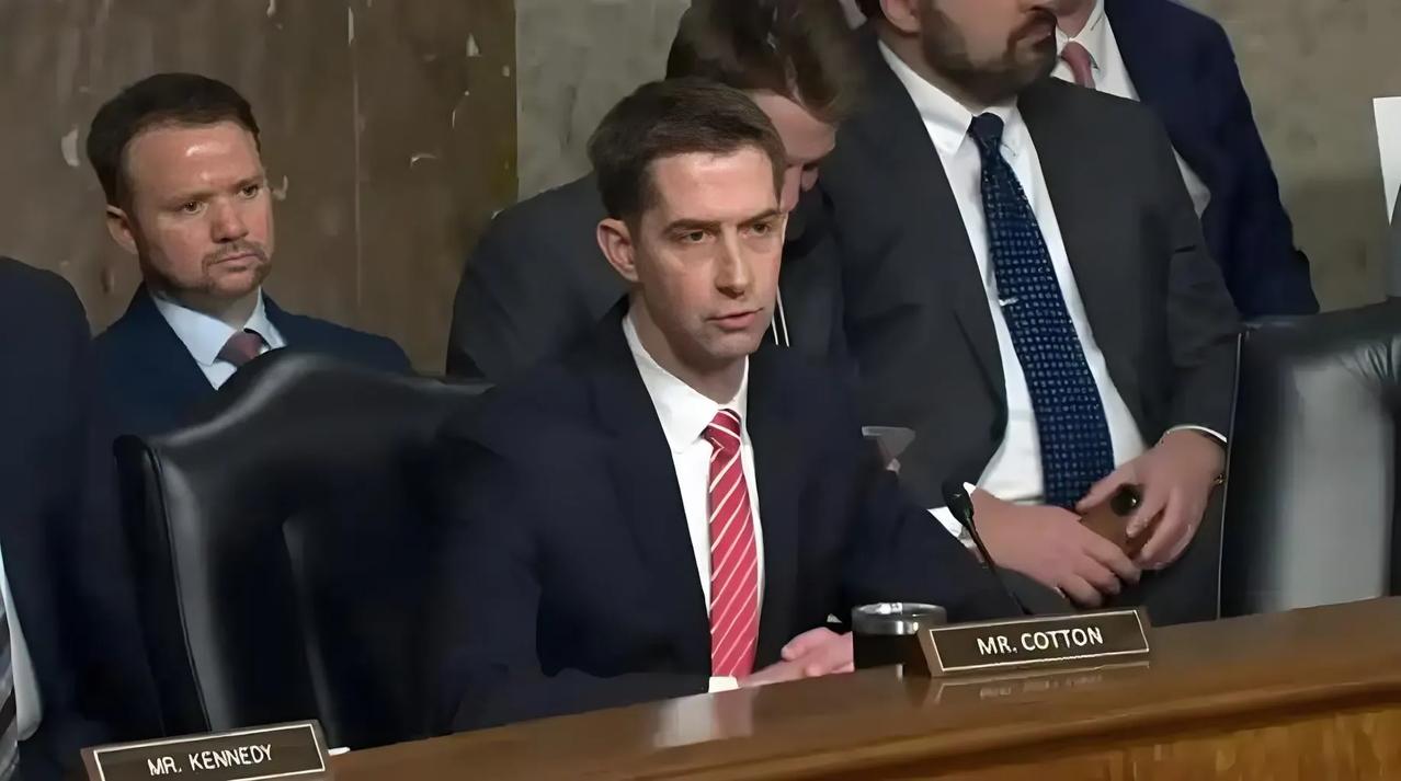 特朗普为什么不选择蓬佩奥做国防部长，而大概率选择汤姆·科顿，这五点原因很重要：