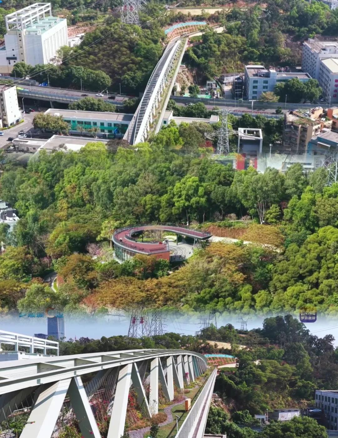 【空中绿廊，诗意栖城！深圳清水河焕新颜啦】碧波荡漾，蓝绿交融，清水河景观碧道从“