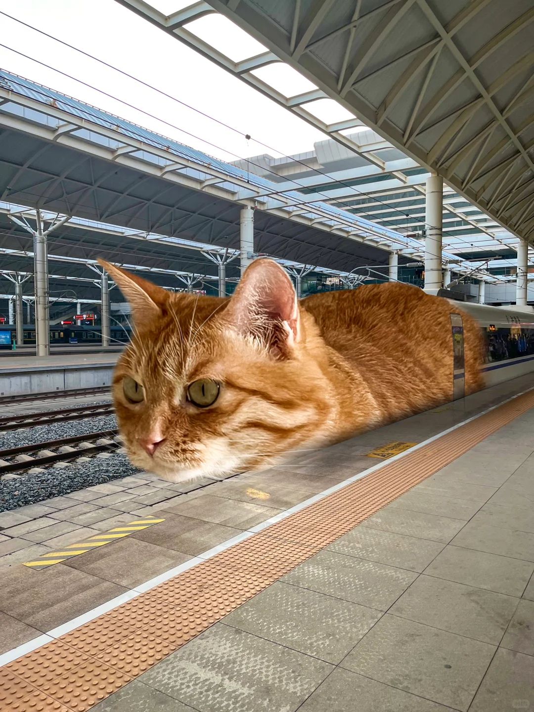 出发！贵阳🚄