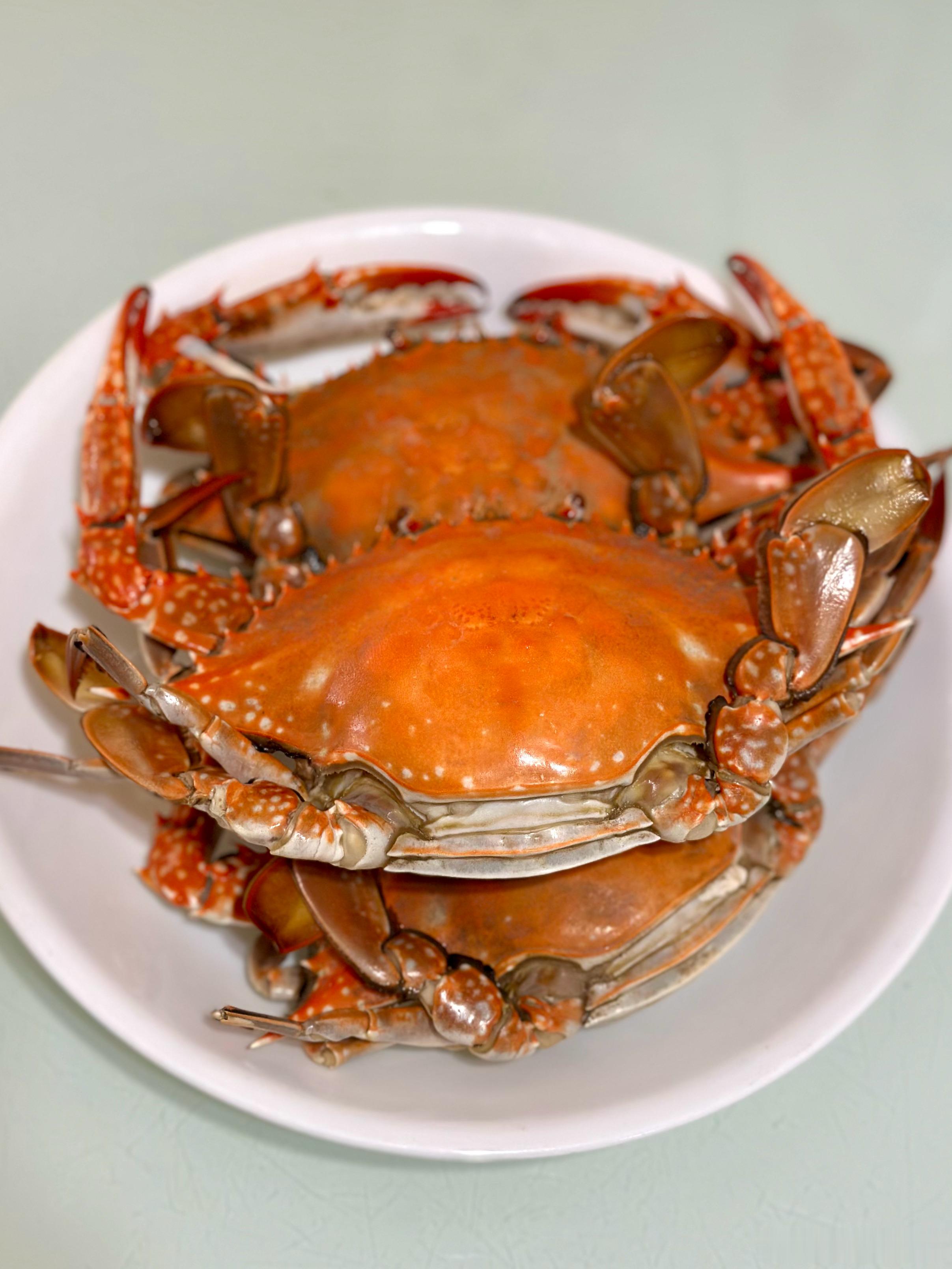 🦀螃蟹自由太过瘾了，蟹肉炒蛋堪称一绝！青岛美食美食分享我的美食日记美食 青岛
