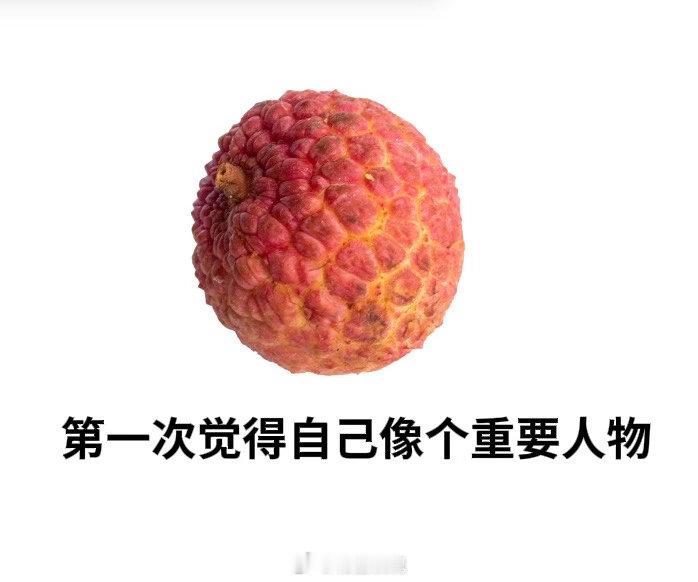珠海荔枝鲜到西安千年荔枝北上的故事再度上演，不再是风尘仆仆的快马，而是舒适恒温的