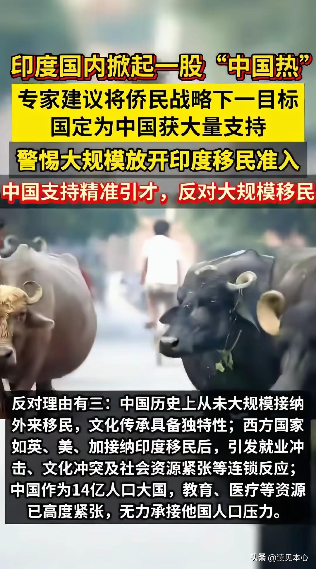 法学界学者陈枫就印度女孩含泪不愿意离开中国，多其家人坚定表达希望定居中国，这事表