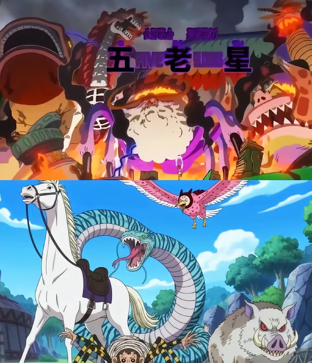 海贼王[超话] 对应上…… ​​​