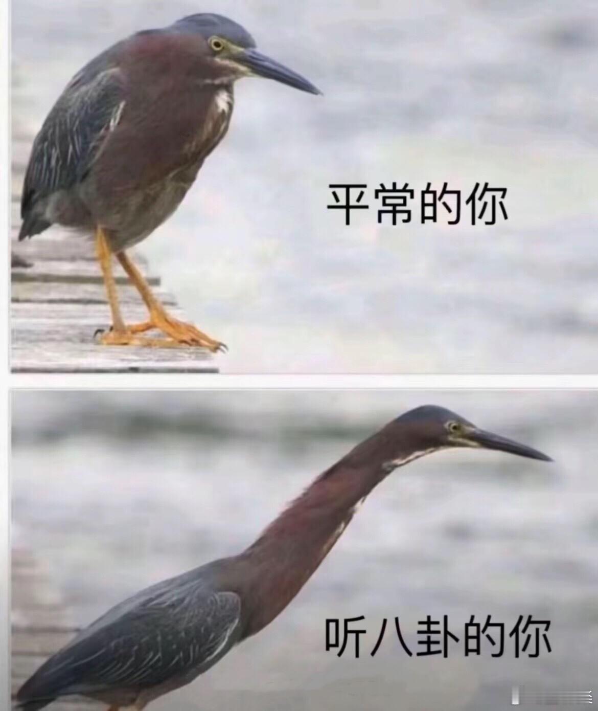 哈哈哈，这一幕具象不？ 