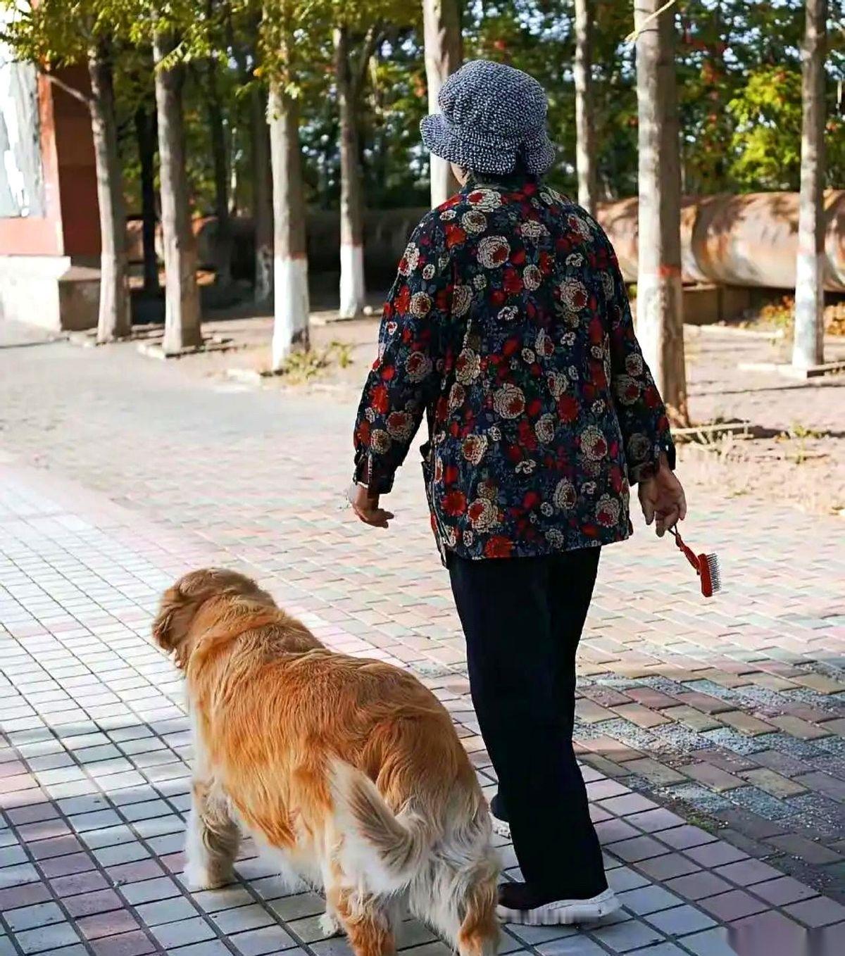 八十多斤的无证烈性犬，被外卖小哥一铁管闷在脑袋上，当场瘫在地上直抽搐。
狗主人大