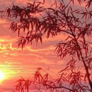 不瞒大家说，其实我是钱性恋，只喜欢有钱的，但不是拜金，希望大家能理解并尊重每一个