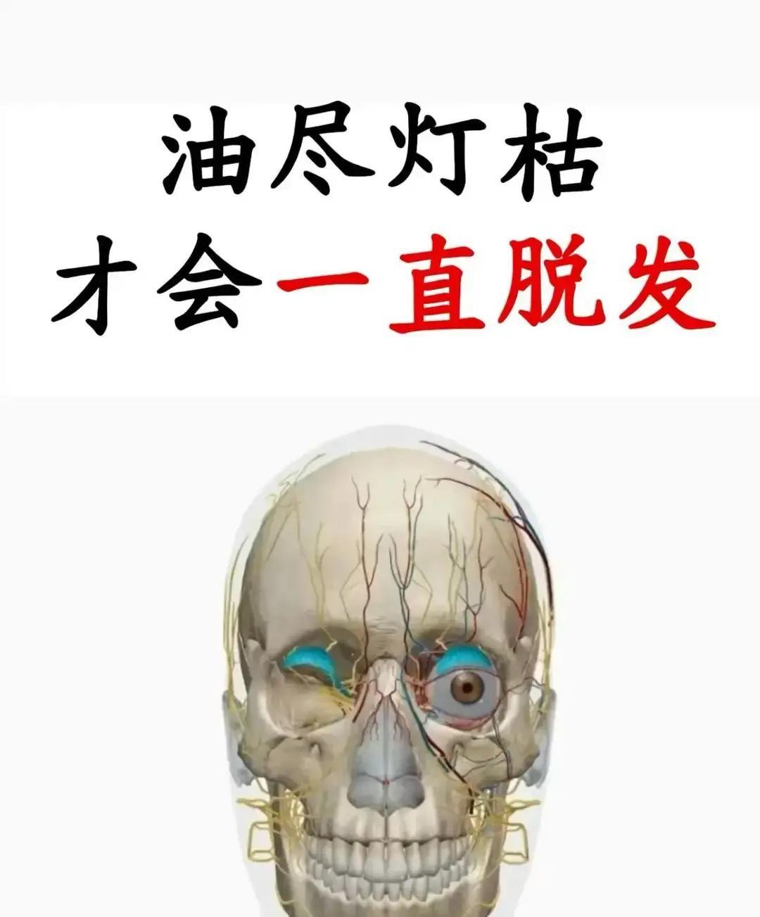 王剃头匠拿侧柏叶何首乌生姜捣成泥，让脱发小伙睡前糊头顶，说仨月能长毛。
三十年前