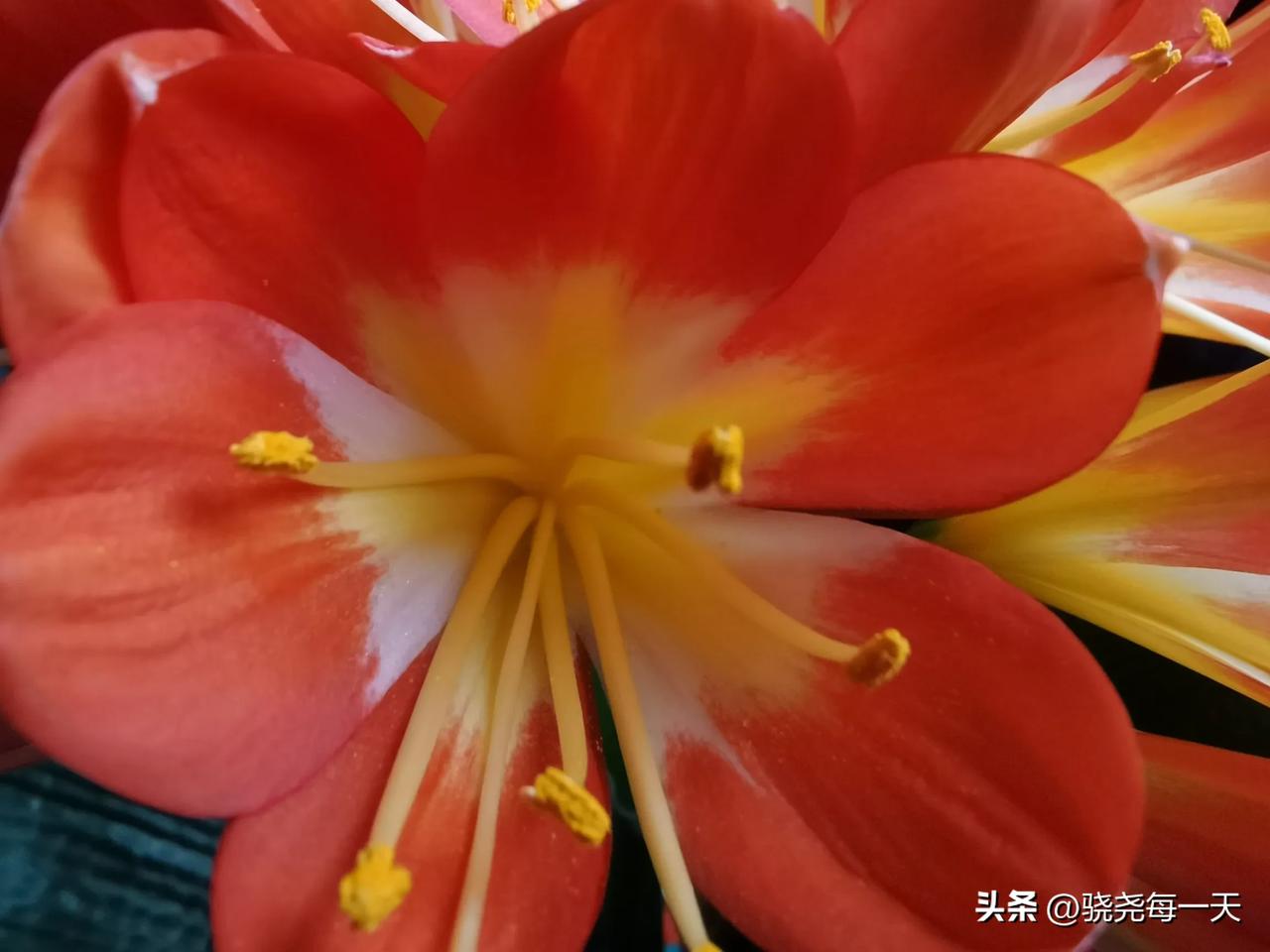 人生本就充满不易，安全问题绝不容忽视，必须时刻牢记，让警钟长鸣，永远装在心中 。