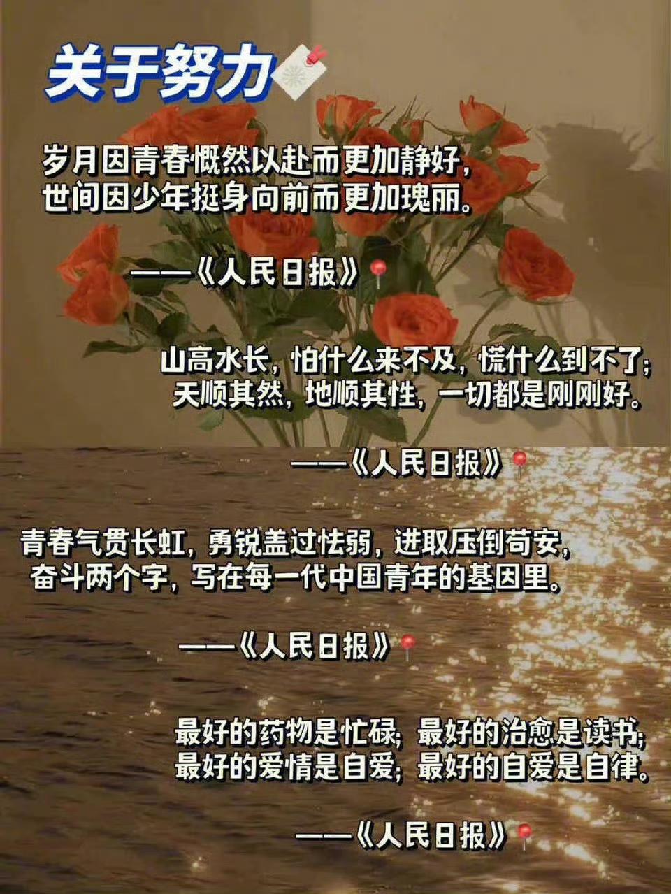 人民日报金句摘抄，学霸都在偷偷用的满分素材 [抱一抱]