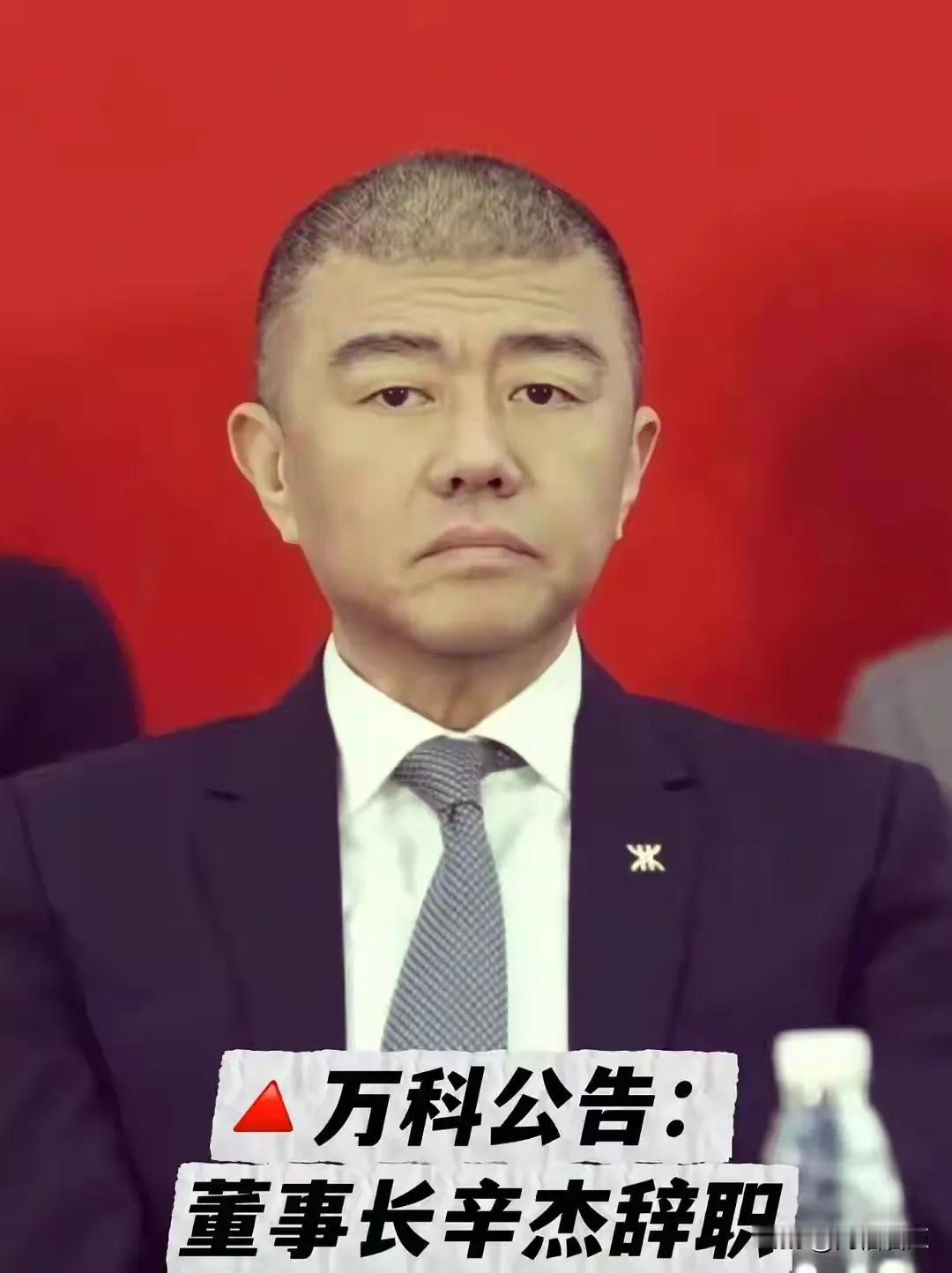 关于万科董事长失联24天后突然辞职的事件，引发了业内外广泛关注与讨论。此事件背后