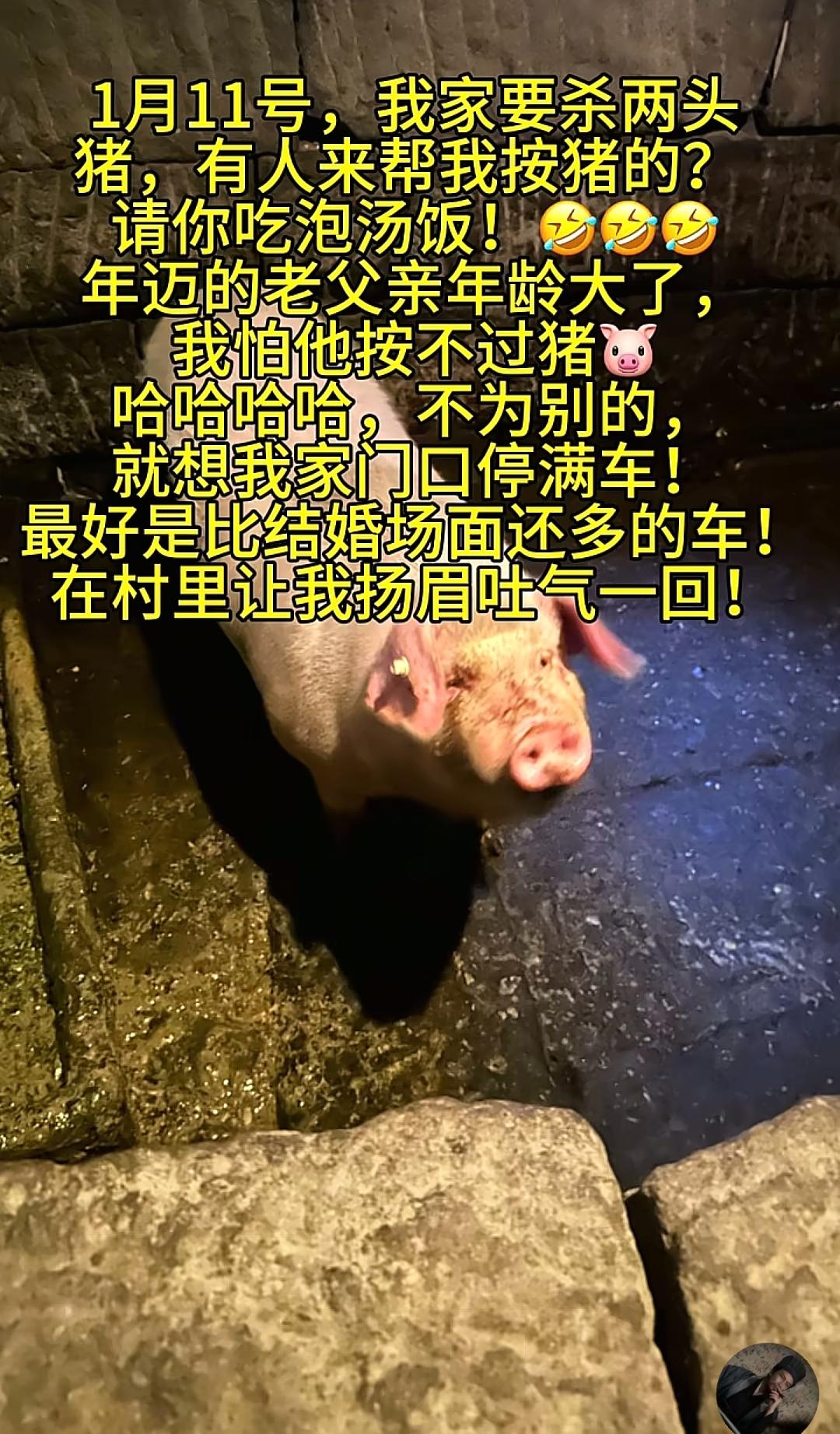 估计现在最懵的人
就是重庆喊人按猪博主同村的大爷大妈了，看着那排出去十几里地的车