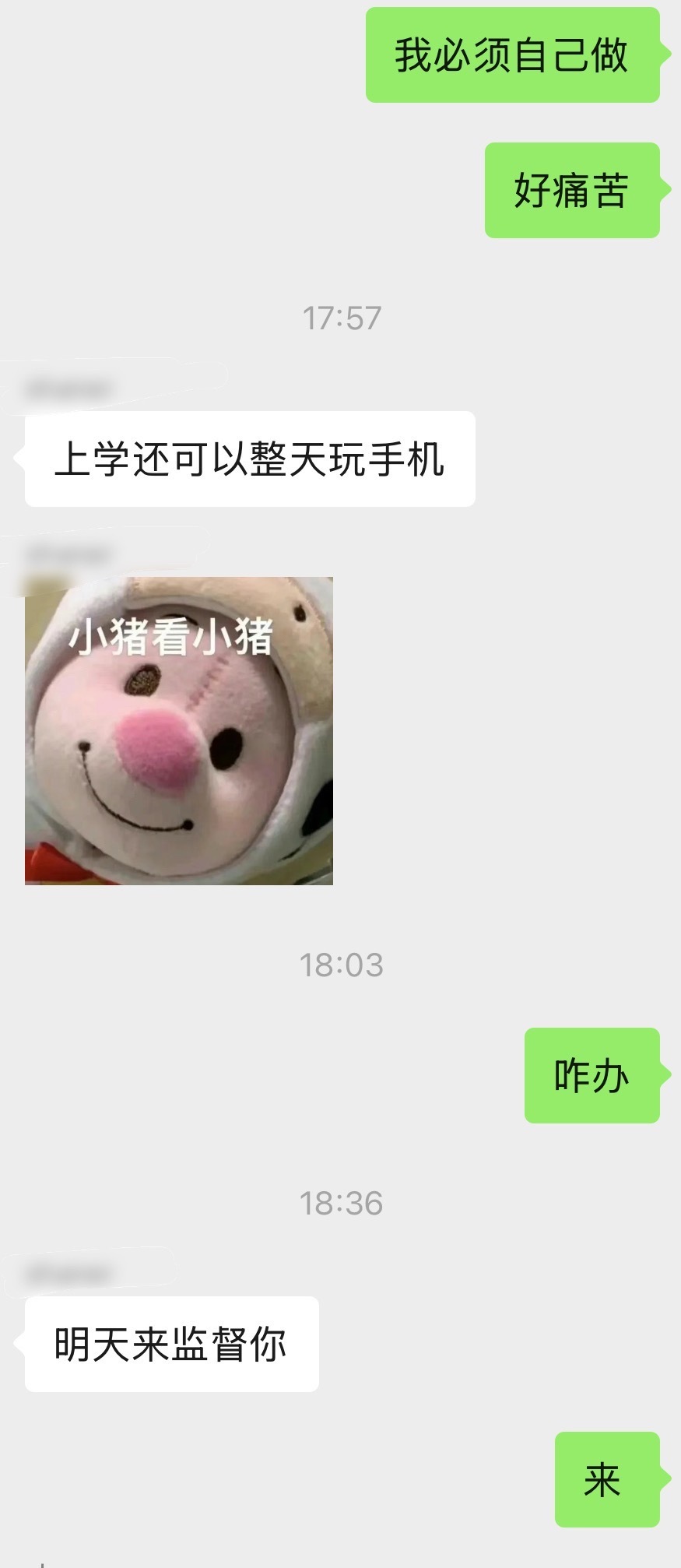 好舒服这辈子一定要和朋友住一个地方，我说我一个人好难受啊我朋友说行明天来你家 