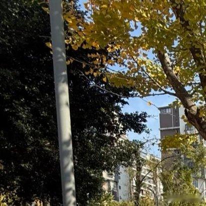 随手拍今天天气真好！ 