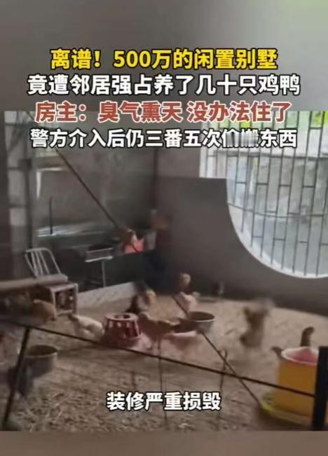 “脸都不要了！”12月30日，福建一男子回老家祭祖，意外发现闲置多年的别墅里居然