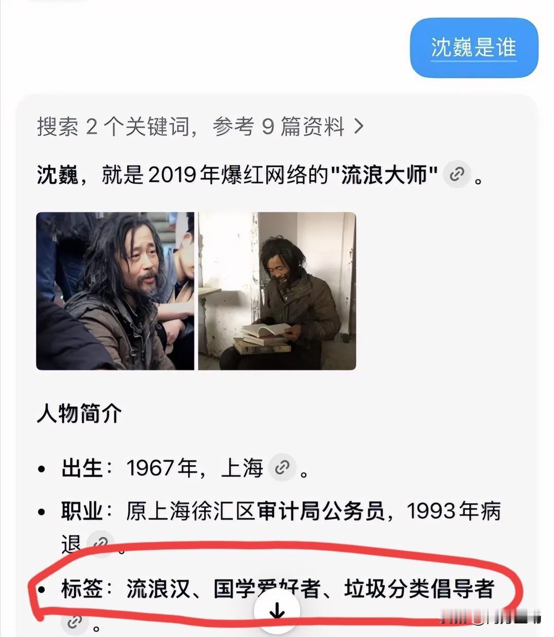 文化圈爆火的沈巍，他的的文化造诣到底该怎么定性？是历史学者？是国学大师？还是艺术