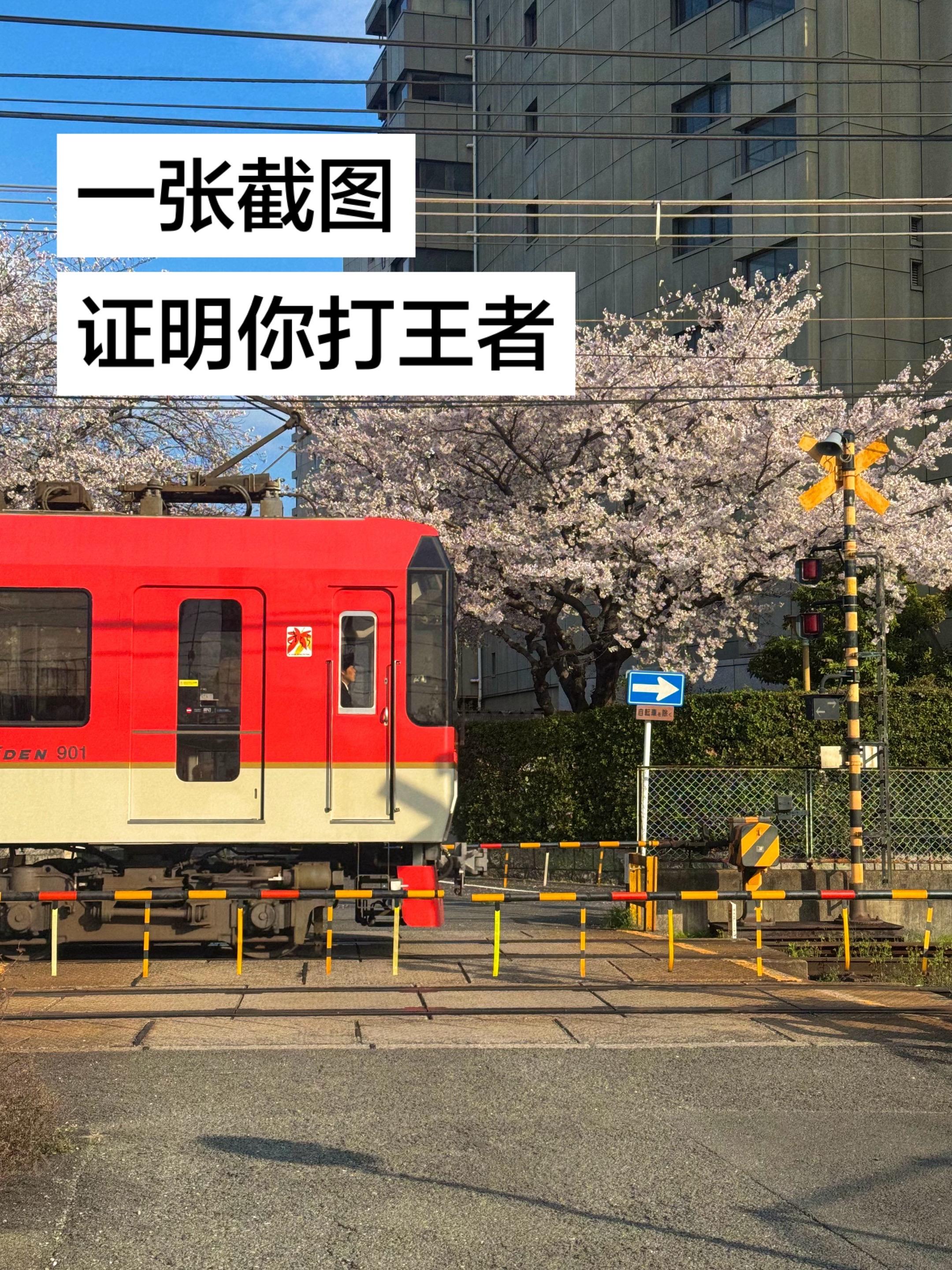 王者荣耀 随走随拍