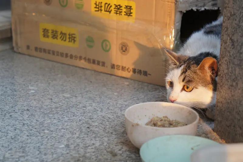 人的一生求什么人活一世，所求不过温饱无忧，心安人团圆
