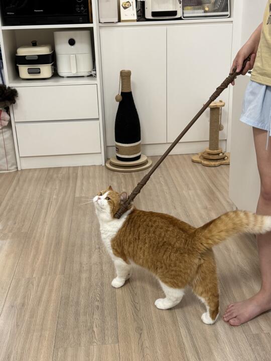 金箍棒是吧！