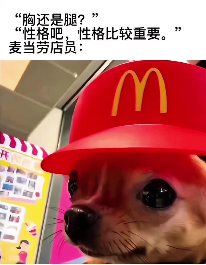 小孩子才做选择…（博主： 61h )