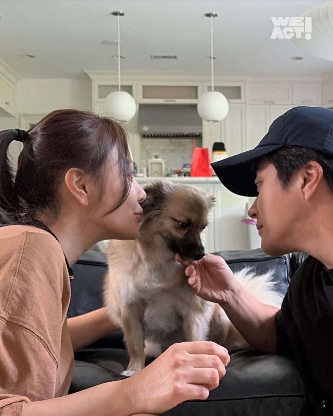近日，演员权相佑的妻子孙泰英在自己的Instagram上分享了和家里小狗相伴的温