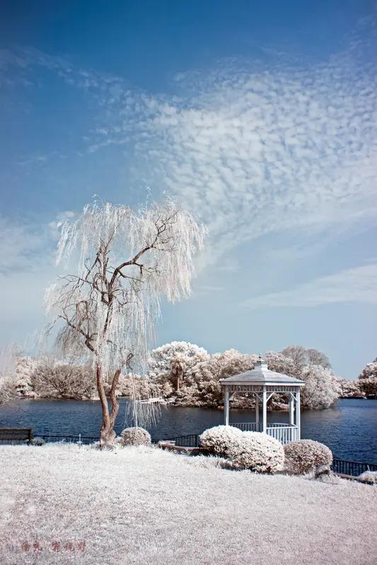 最近网上老传“地球将进入小冰河期”，这其实是个误区。2025年11月就有相关辟谣