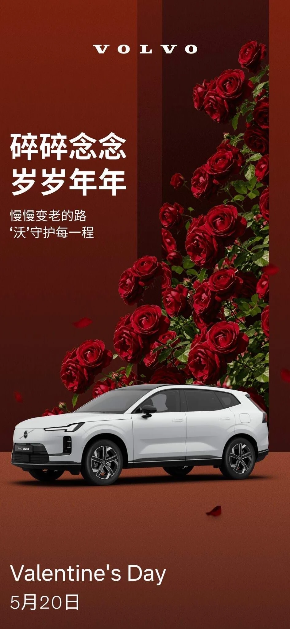 沃尔沃夜场不打烊，有情人专属好价15.99W🚗