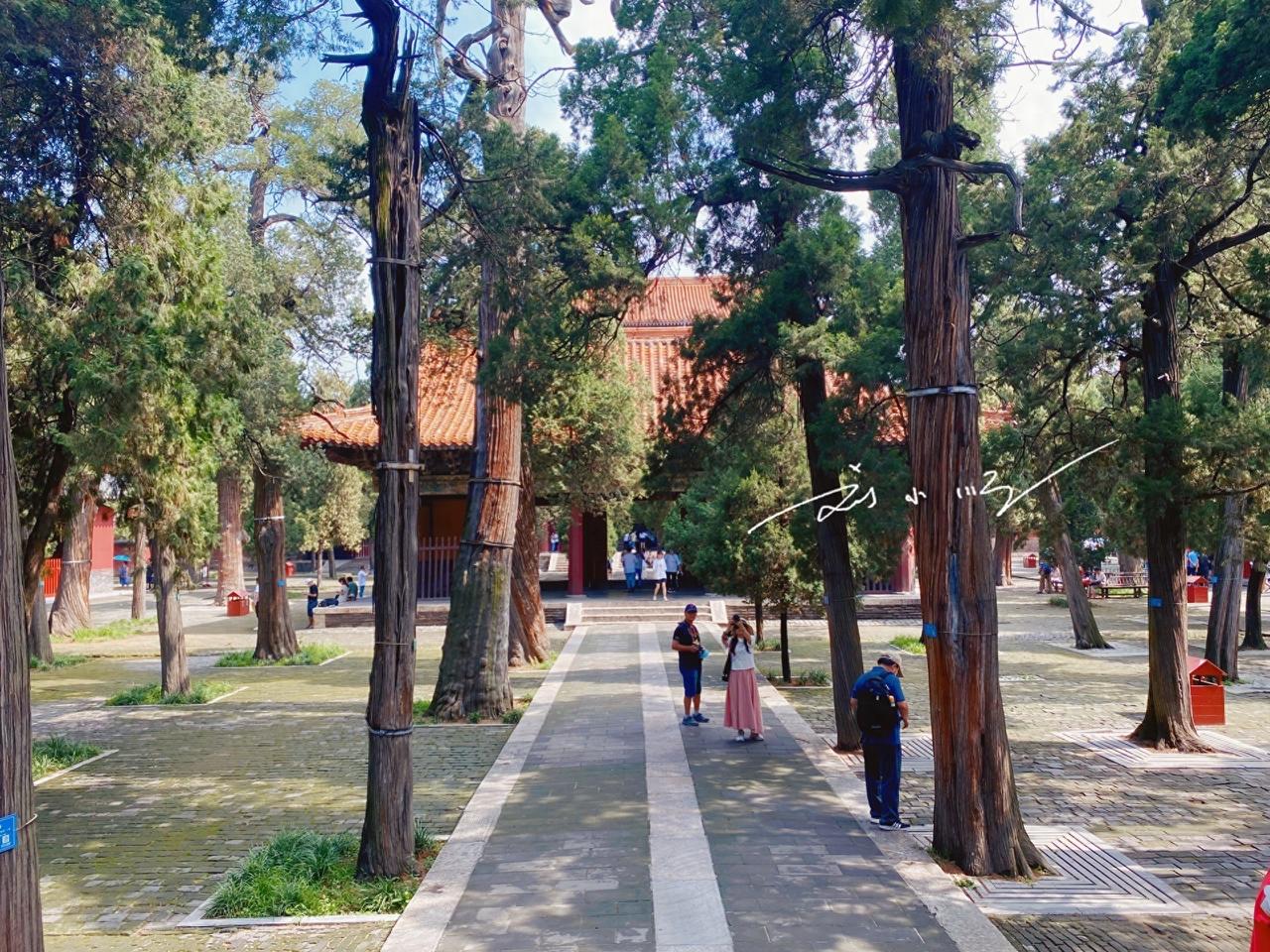 位于山东省的曲阜市，是一座被誉为“东方圣城”的县级市，举世闻名且常年吸引大量游客