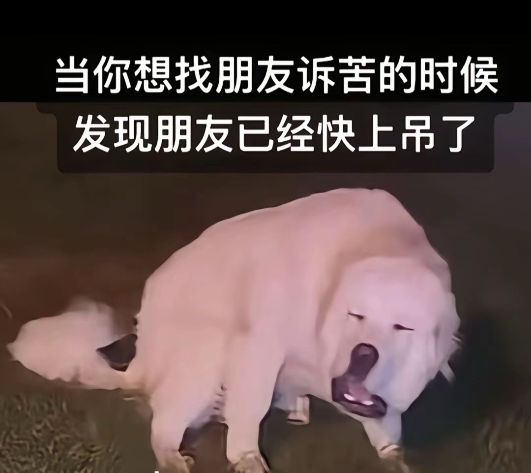 这可咋办 