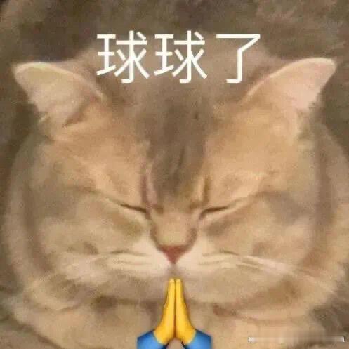 微博视界大会有内场节目单，红毯顺序图吗[拜托][拜托][拜托] ​​​