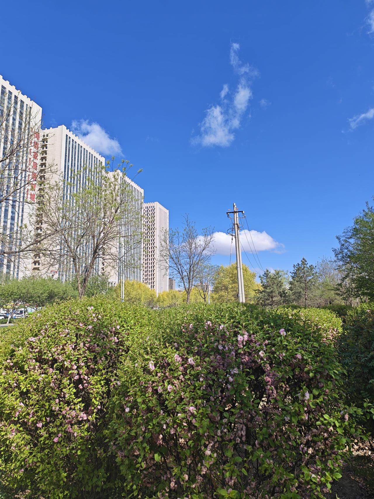 有钱不一定幸福，没钱也不一定不幸福。心态决定一切！