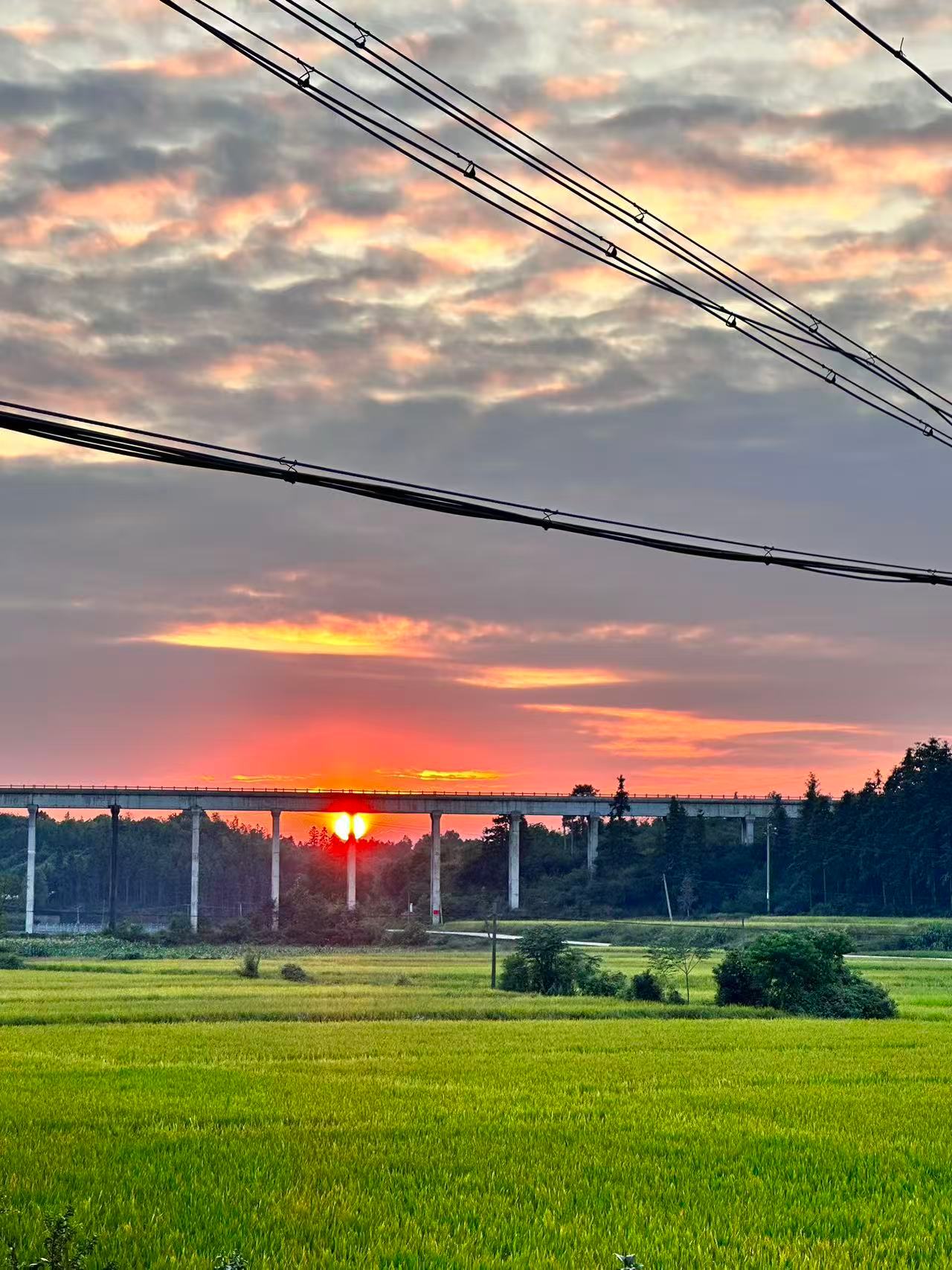 这波反差我给满分！拉宏高铁上开e人春晚 外面是抽象博主，内里是贴心小棉袄。看她在