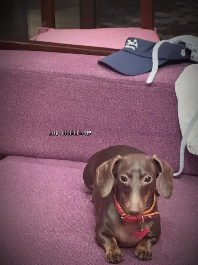 doe太可爱了我想咬一口🥲 