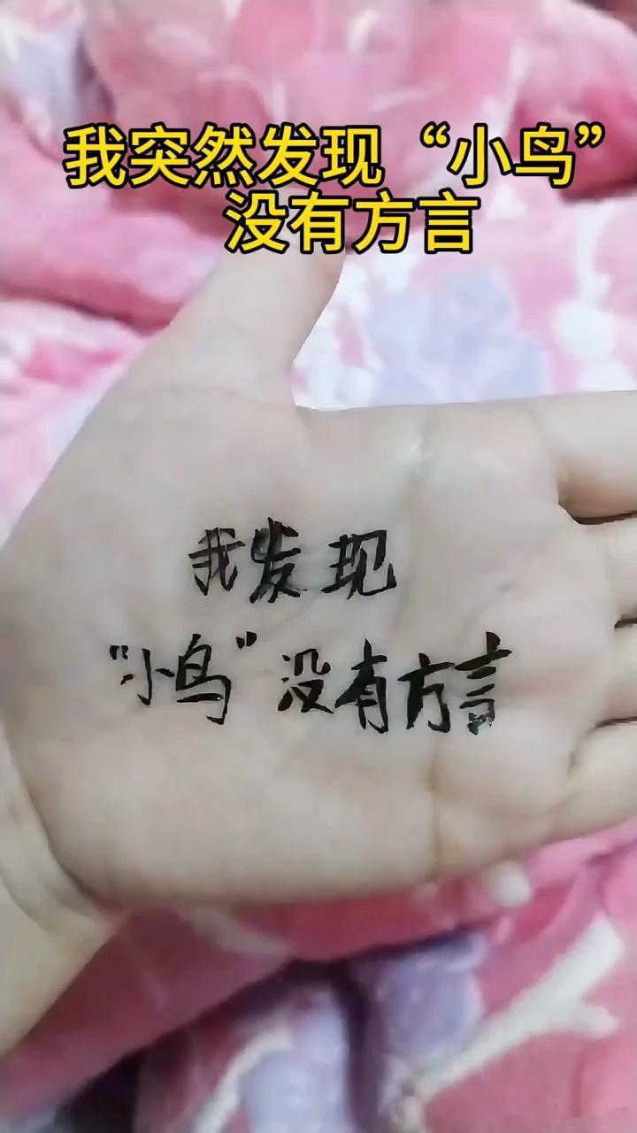 小鸟在你们那边有方言说法吗？ 