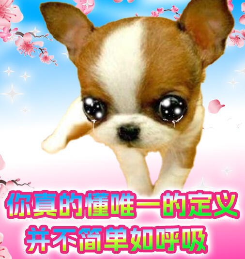 分享图片 