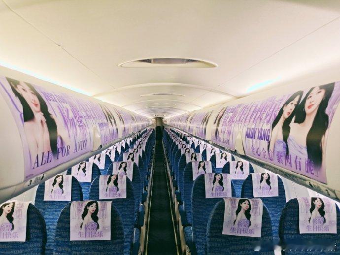 杨紫生日粉丝痛机应援🈶 ​​​