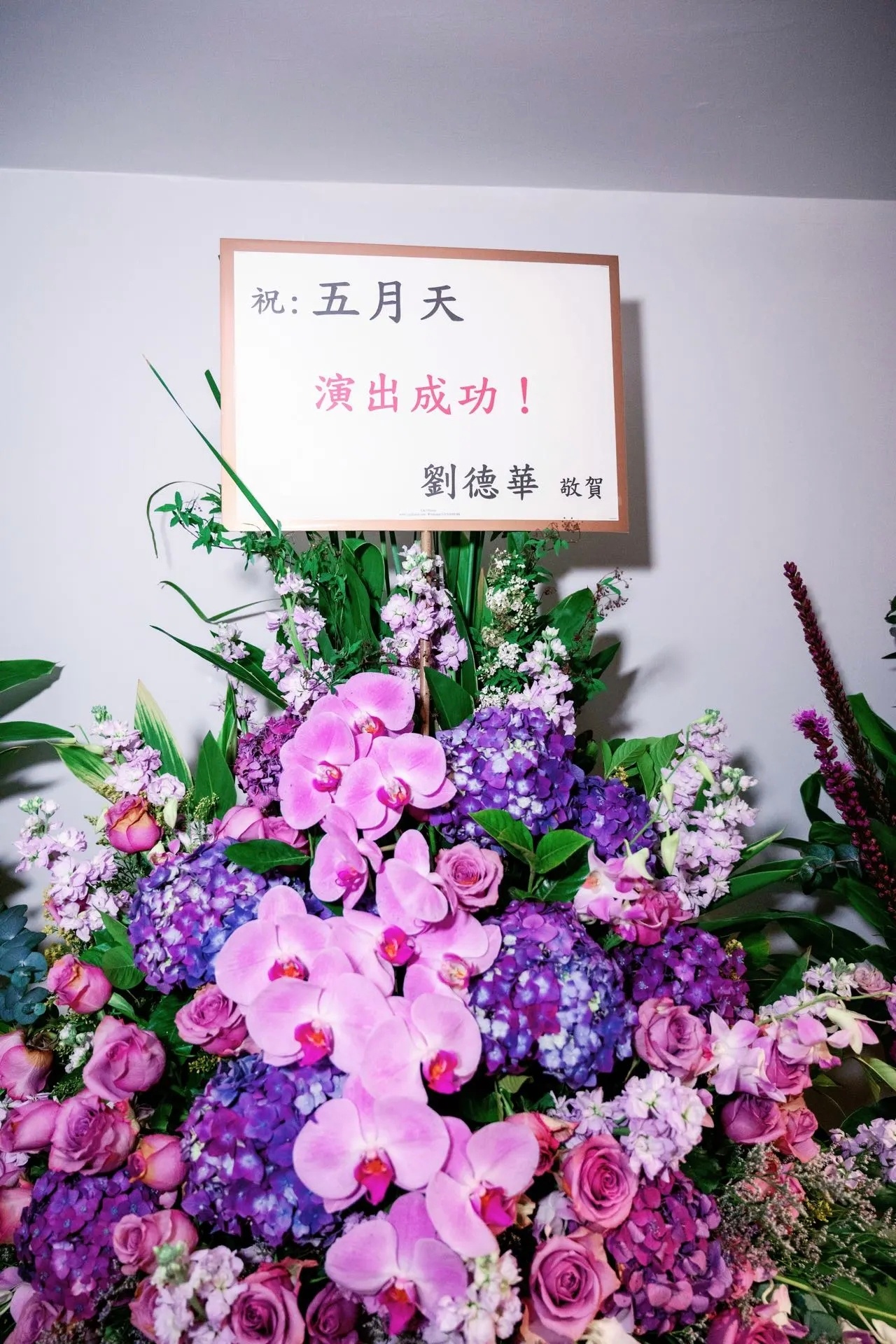 排面儿五月天五月天5525回到那一天五月天