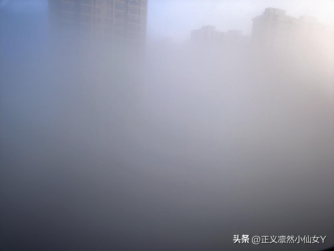 今天的泰州人有没有一种身在云端的感觉？
   一大早起床，窗外白茫茫的一片，能见