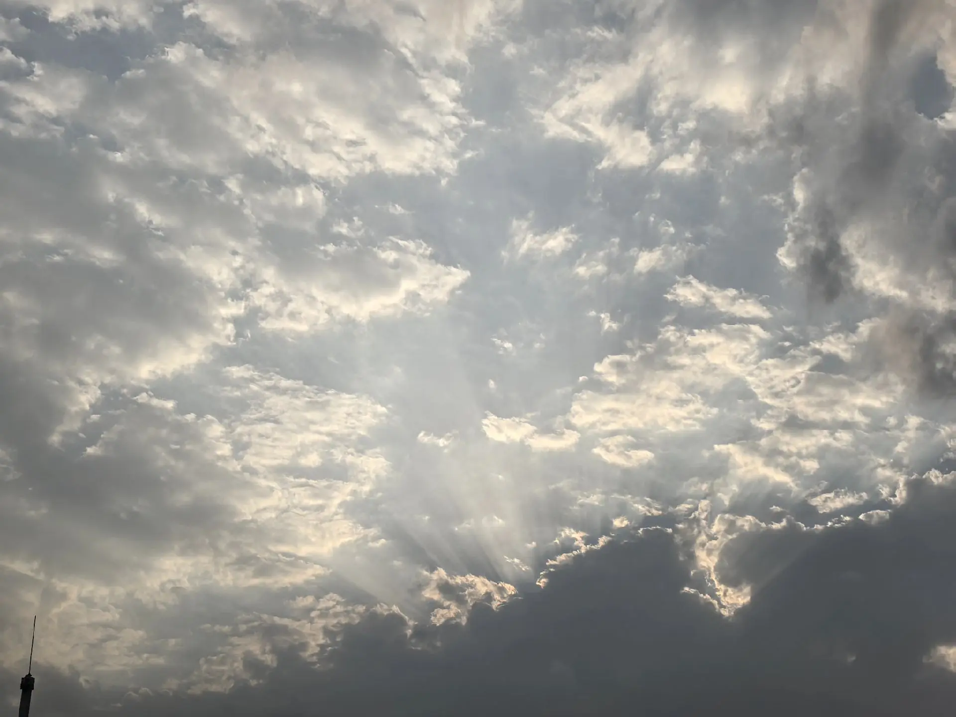 我喜欢你，没有道理。