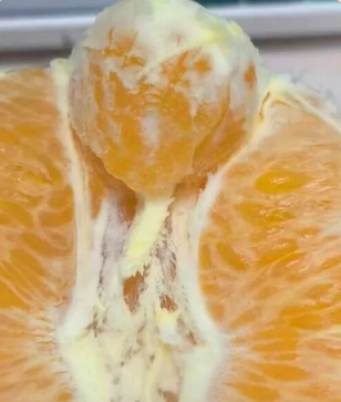 每天一条冷知识 有时候吃橙子会发现里边还有个小橙子，它是脐橙特有的次生果也称副果